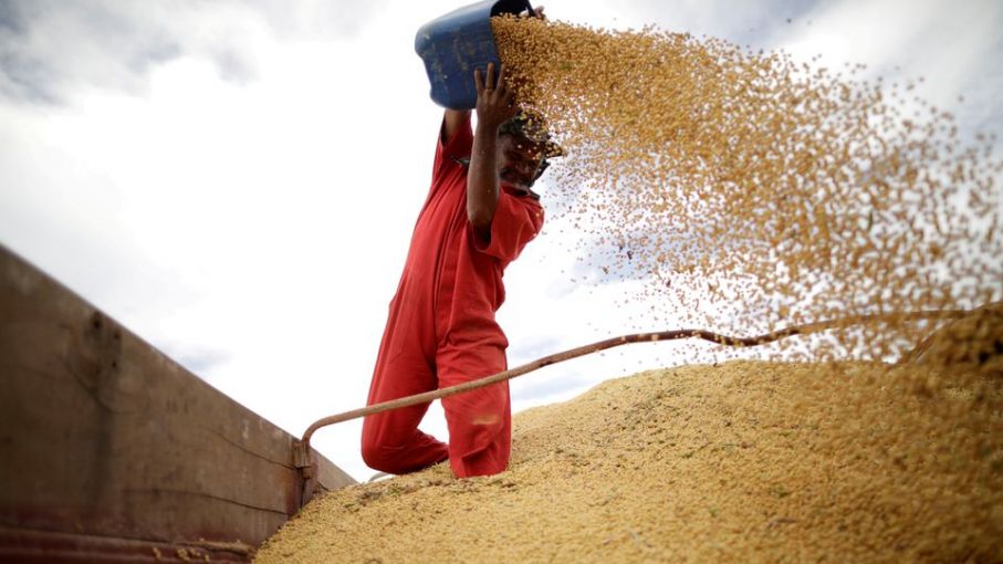 El USDA reportó una suba de los stocks de soja estadounidense