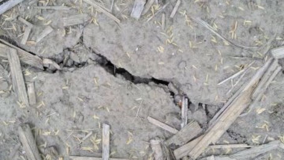 La niña ruge de vuelta; se avecina más sequia