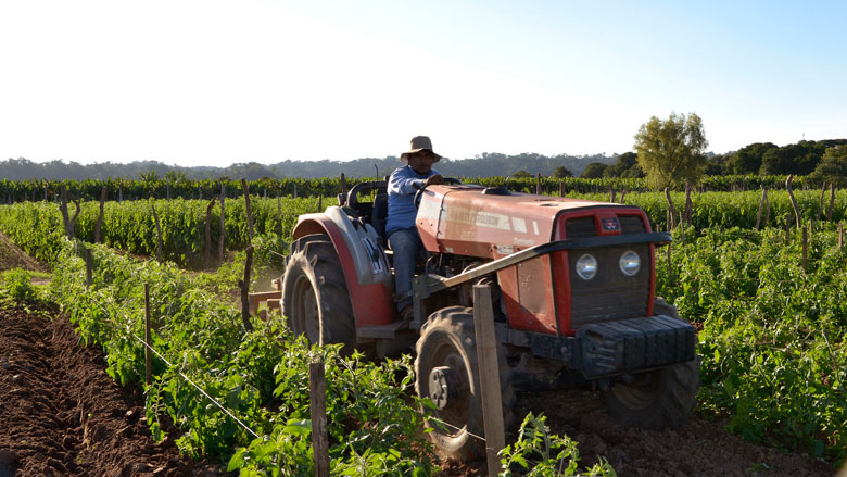 Maquinaria agrícola: los patentamientos aumentaron 11,6% en julio