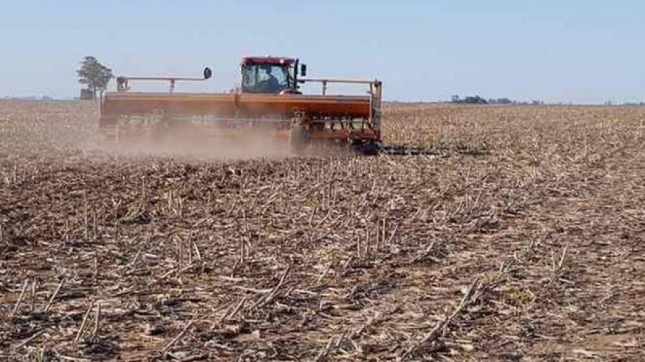 Buscan crear políticas para "dejar atrás" la emergencia agropecuaria por sequía en Entre Ríos