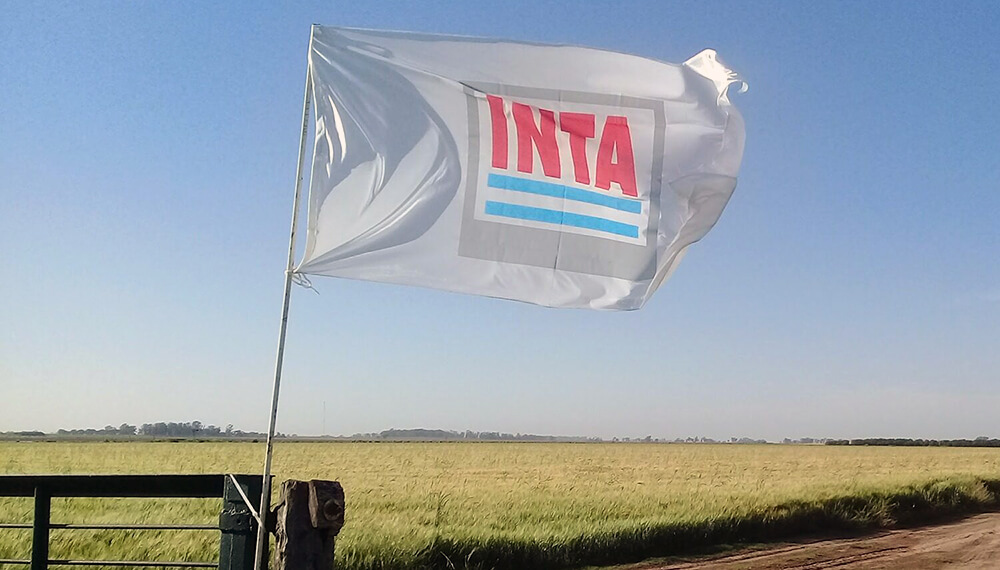 El INTA en la mira: incertidumbre, reclamos y una advertencia desde el campo