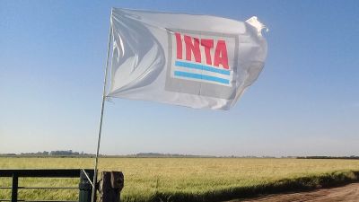 INTA en alerta: dirigentes del interior advierten por el avance de la centralización