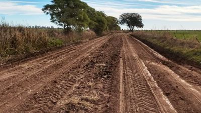 Productores rurales exigen reducción de impuestos 