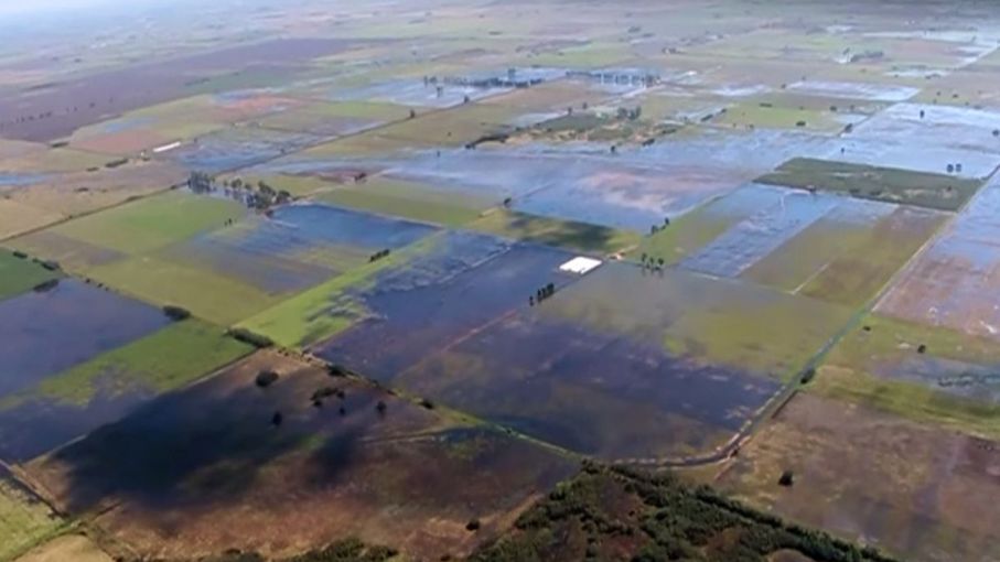 Recomiendan a Agricultura homologar los decretos de emergencia de las provincias del Litoral