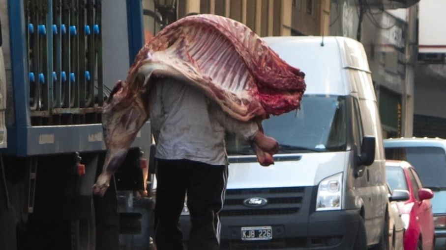 Frigoríficos reclaman avanzar con el cuarteo de carne para terminar con la media res