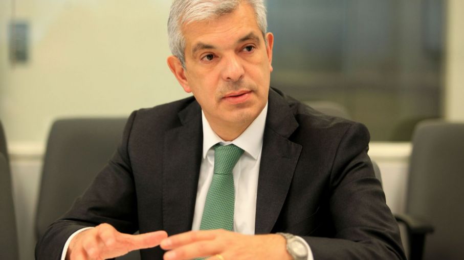 Domínguez anunció que trabajan en un plan de emergencia para la ganadería correntina