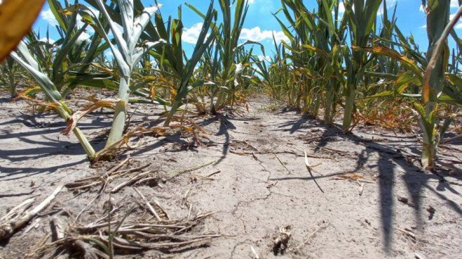 Santa Fe implementará una línea de financiamiento para productores afectados por la sequía