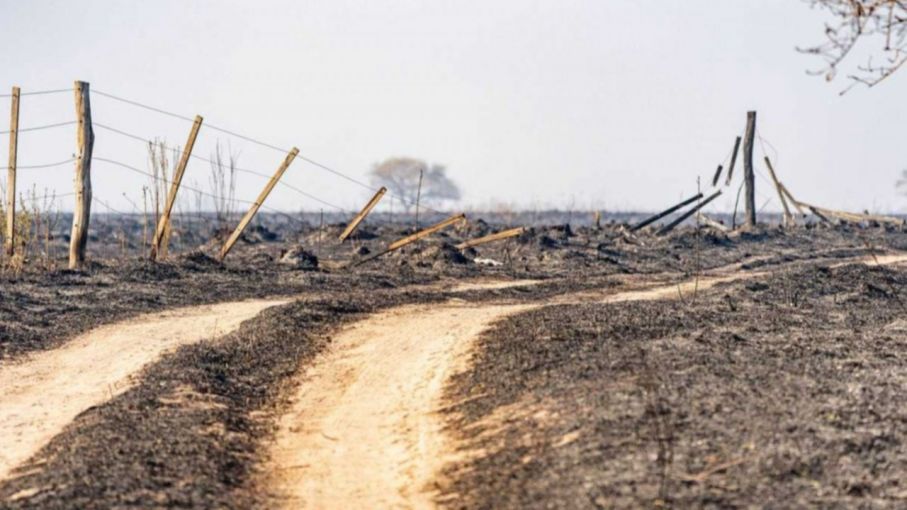 Piden derogar la Ley de Manejo del Fuego 