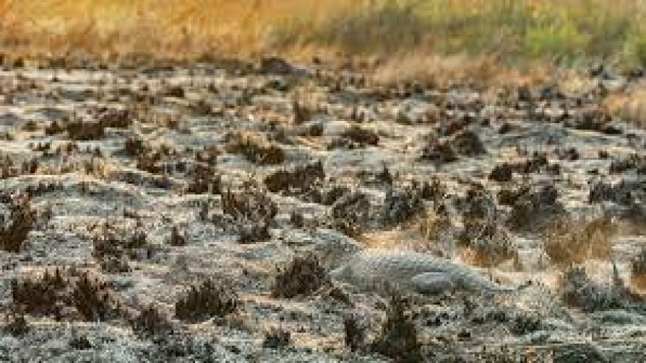¿Habrá continuidad o no de "La Niña"?