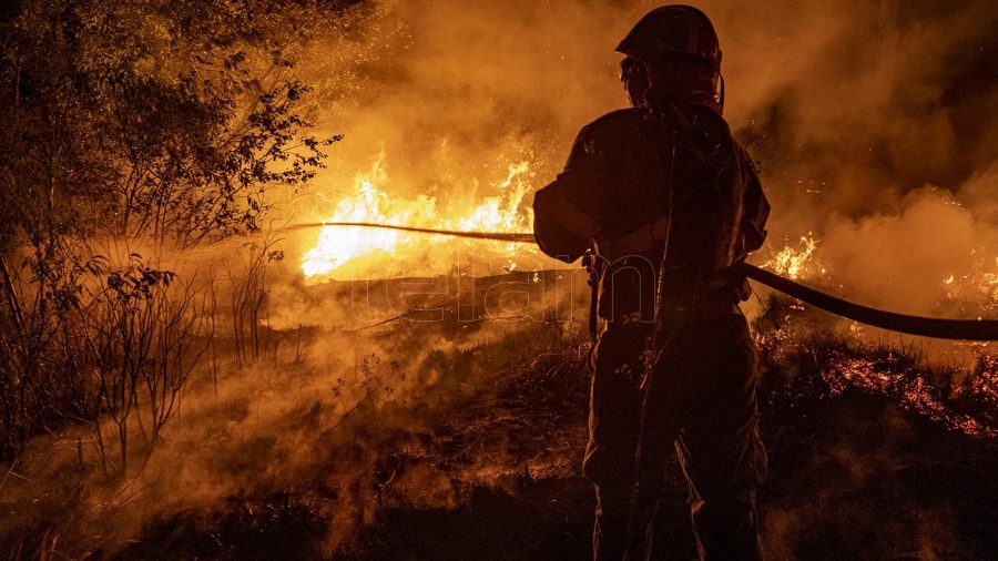 El Gobierno creó la Agencia Federal de Emergencias para combatir incendios y desastres naturales 