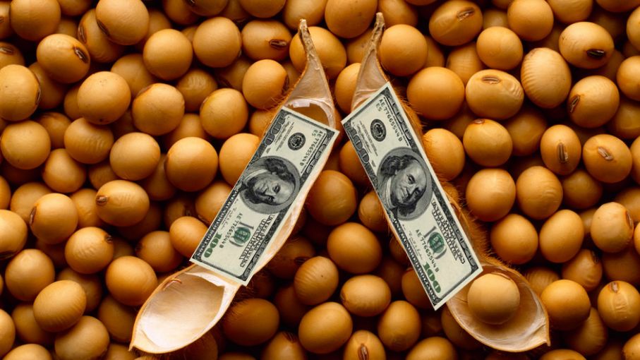 ¿Súper soja por la guerra entre Rusia - Ucrania?: qué posibilidades hay de que ingresen más dólares para la economía argentina