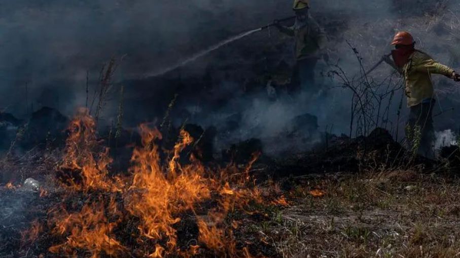 Domínguez sostuvo que todavía no se pueden calcular los daños en Corrientes por los incendios