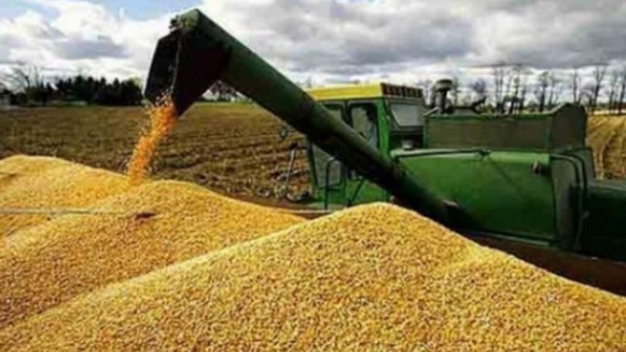 Ucrania podría perder 6.000 millones de dólares en exportaciones de granos por bloqueo de puertos