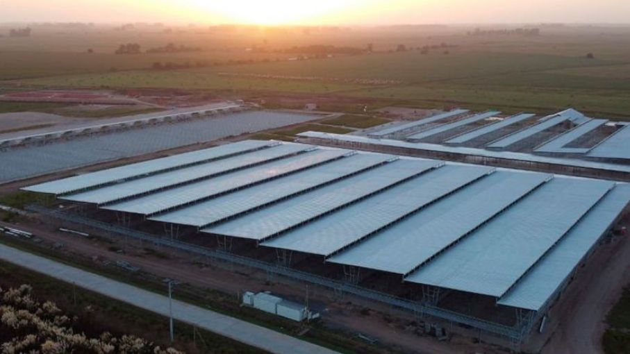 Se inauguró oficialmente el Mercado Ganadero de Cañuelas