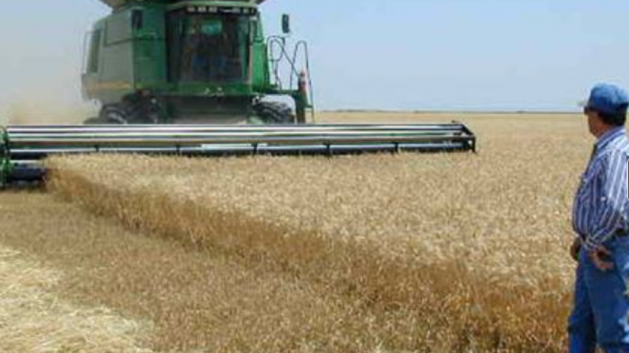 Los precios del trigo se disparan por los temores de Ucrania, pero los productores estadounidenses no pueden sacar provecho