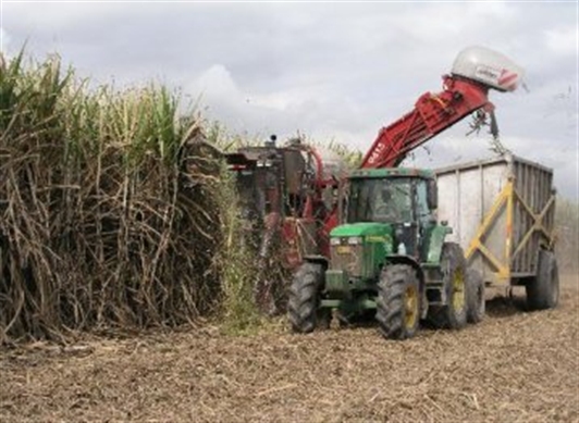 Brasil reduce a cero los aranceles a la importación de etanol hasta finales de 2022
