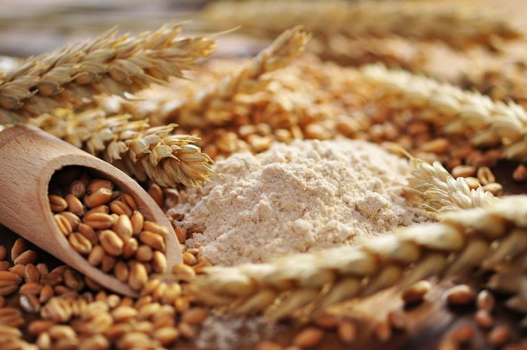 La activación de la demanda de los importadores respalda los precios del trigo alimentario
