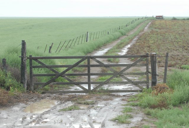 Pronostico Agroclimático Semanal