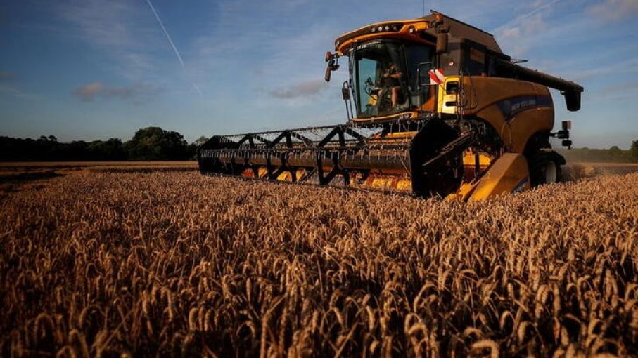 Coninagro definirá en próximas horas si adhiere a cese comercialización convocado para 13 de julio