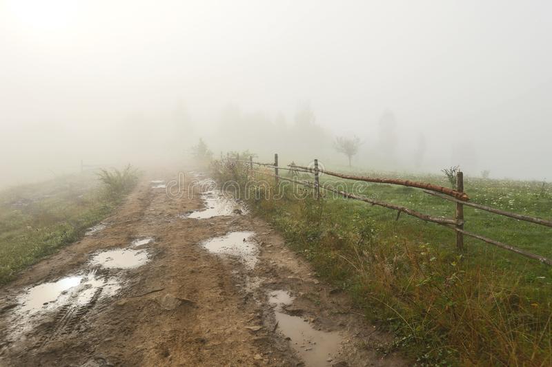 Consejos para conducir con niebla con seguridad