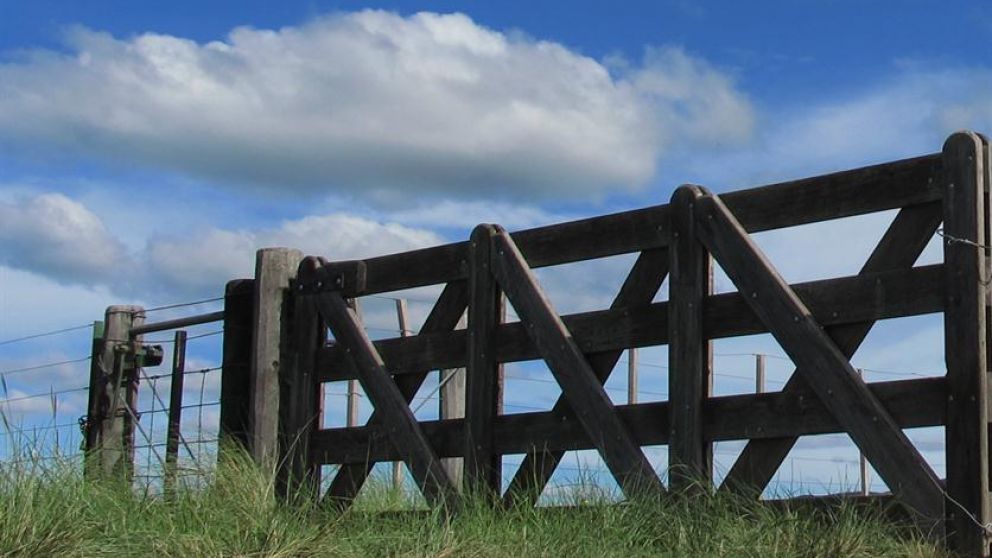 Se reactiva la demanda de campos agrcolas: los precios que se negocian por hectrea en Crdoba y Chaco