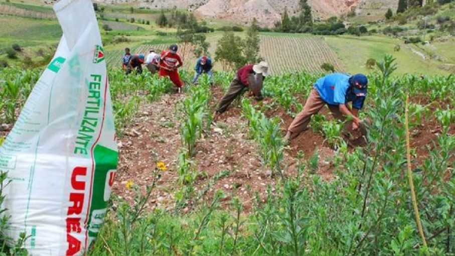 Ingreso de fertilizantes al Perú se reduce a un nivel mínimo y llega caer más de 90%