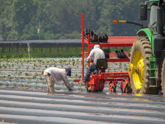 ¿Por qué aumentó la demanda de pulverizadoras en la producción agrícola de Córdoba?