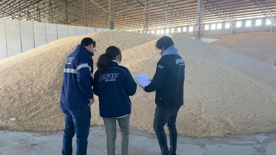 Aduana desarticuló maniobras de 60 agroexportadoras truchas