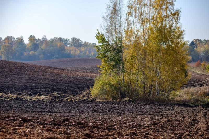 Calor, nieve, tormentas: resumen meteorológico de los próximos días