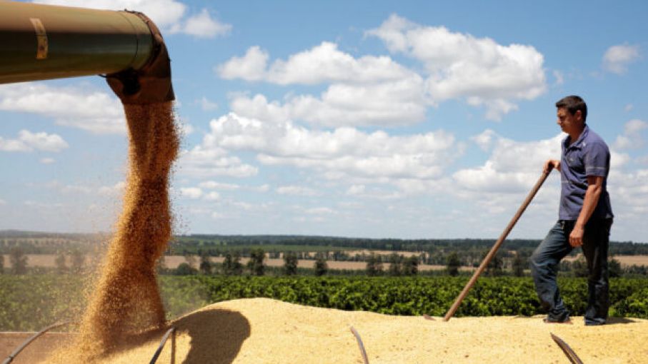 China sacia su hambre de granos y cereales en Latinoamérica