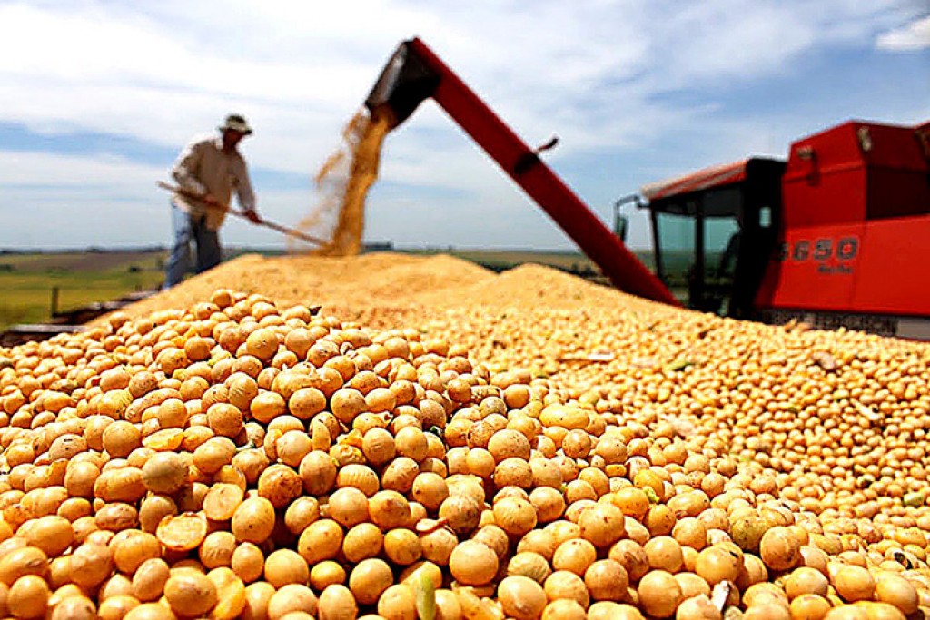 El campo pide el fin de las retenciones y dice que se va hacia la "desaparición del productor"