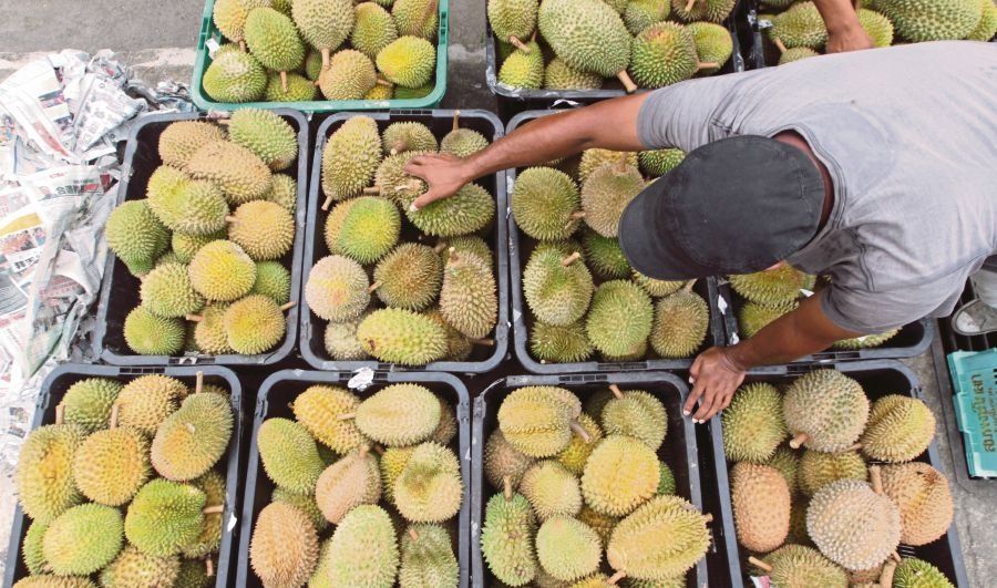 La política china de cero COVID afecta exportaciones de fruta chilena