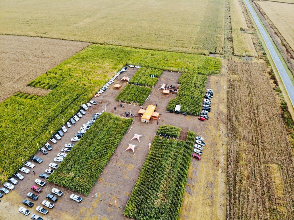 Un híbrido para cada ambiente y manejo técnico