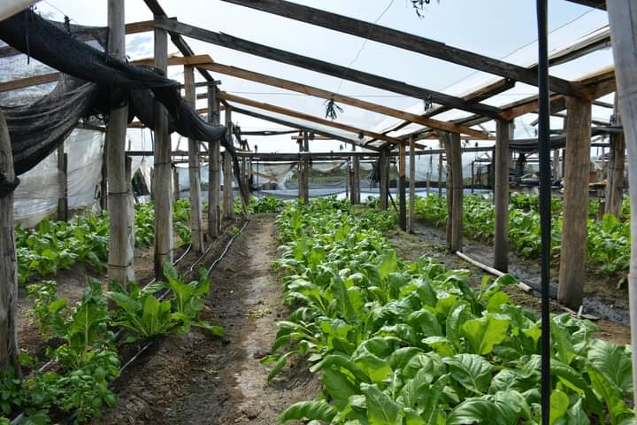 Avanzan propuestas de apoyo a la actividad de la agricultura familiar