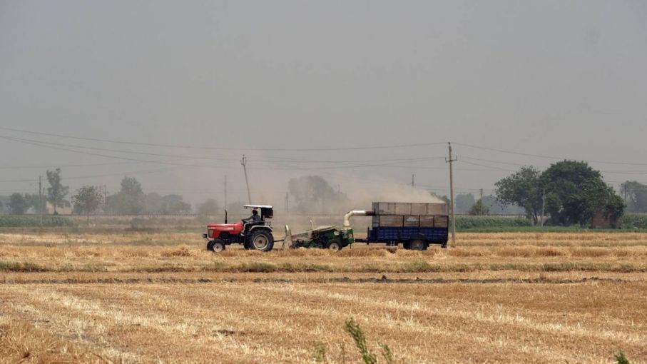 India estudia frenar exportaciones de trigo ante crisis de suministro de alimentos