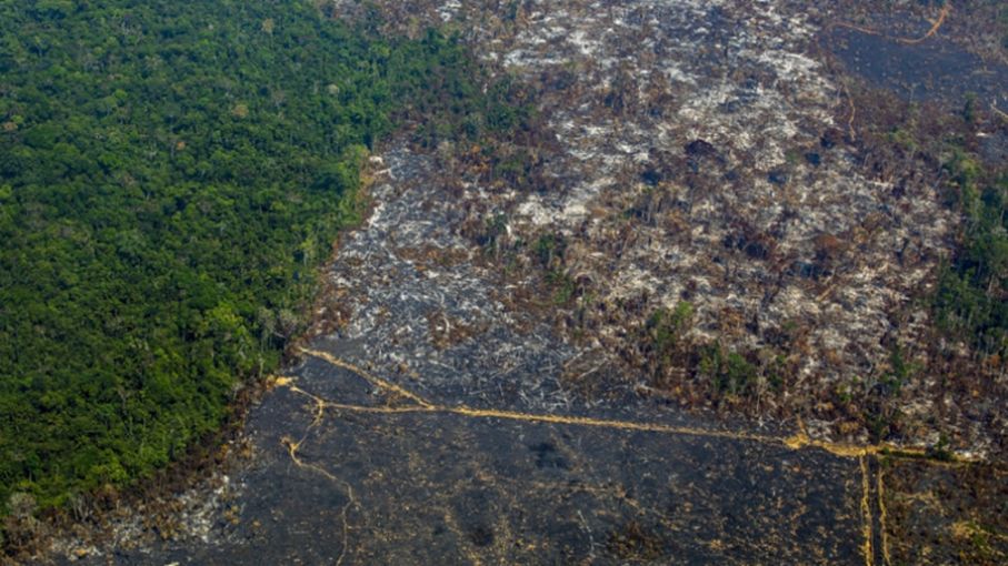 La Amazonia brasileña registró una deforestación récord en el mes de abril