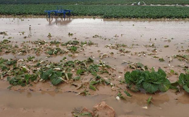 Evaluan daños en campos afectados por el exceso de lluvias