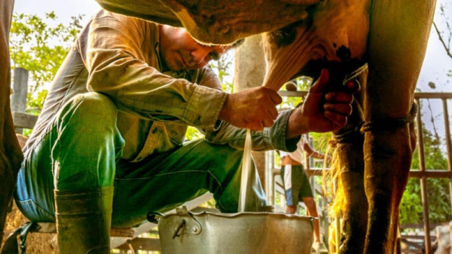 Productores logran aumento de 2 Lps