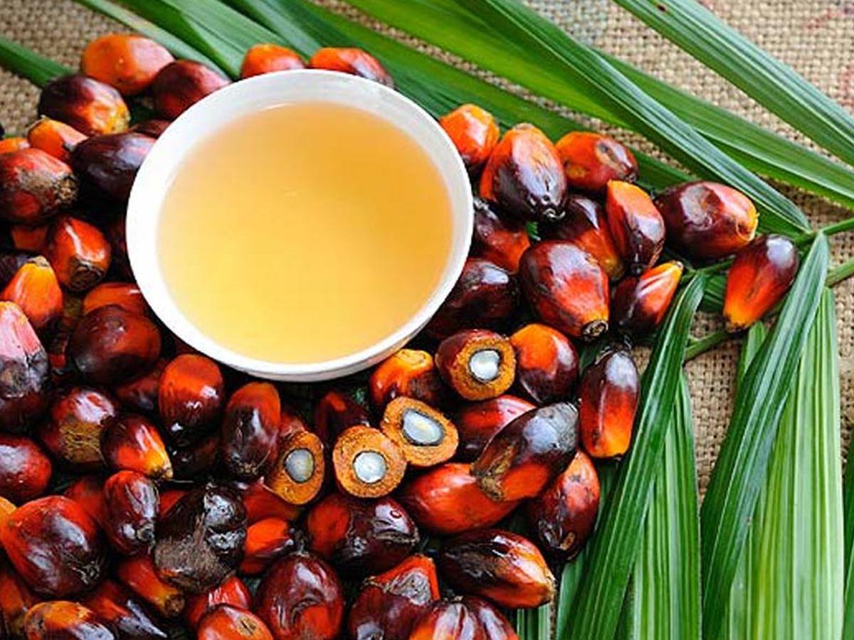 Las exportaciones de aceite de palma de Malasia aumentaron un 9,62% en abril y la producción un 21,52%