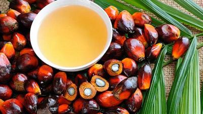 Las exportaciones de aceite de palma de Malasia aumentaron un 9,62% en abril y la producción un 21,52%