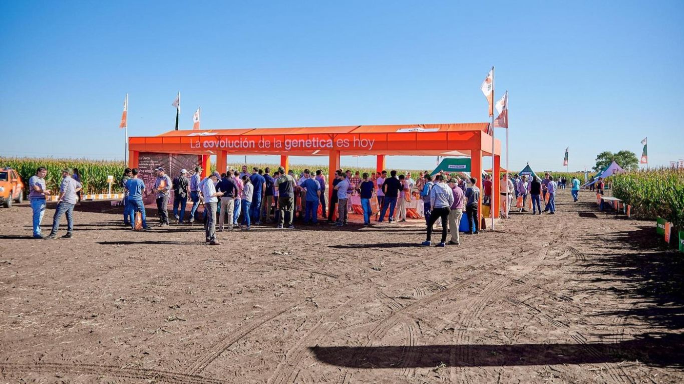 La evolución de la genética KWS también se podrá ver en Agroactiva