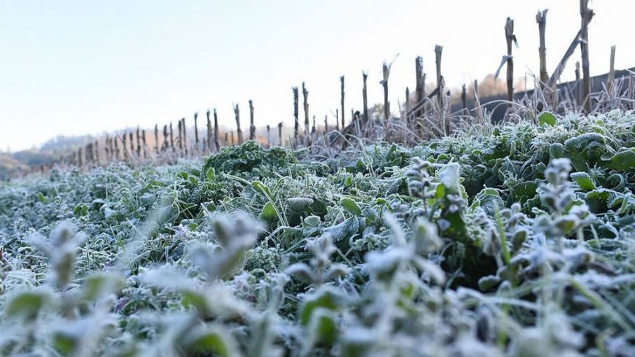 El invierno sale a escena