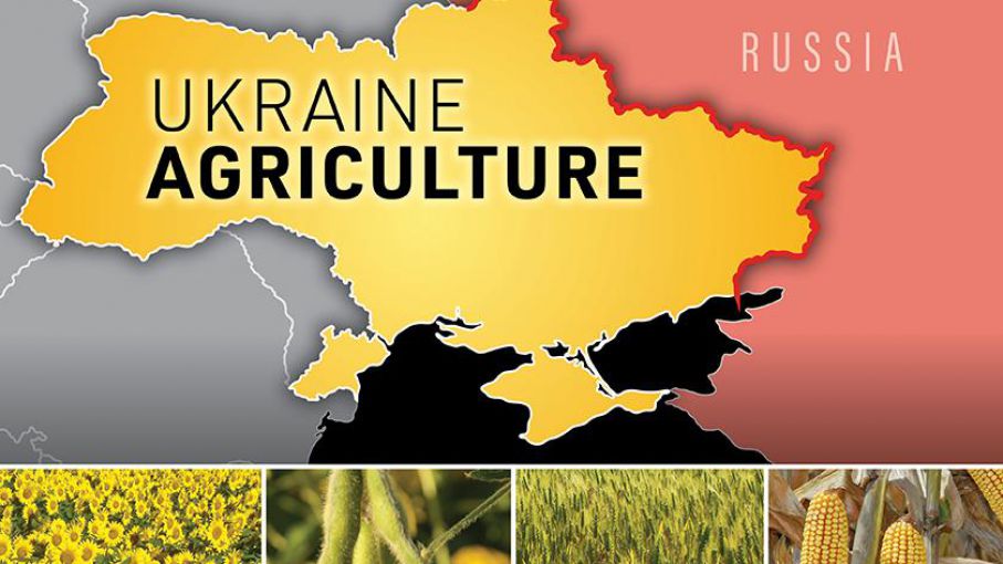 La producción de cereales de Ucrania se hundirá más del 35%