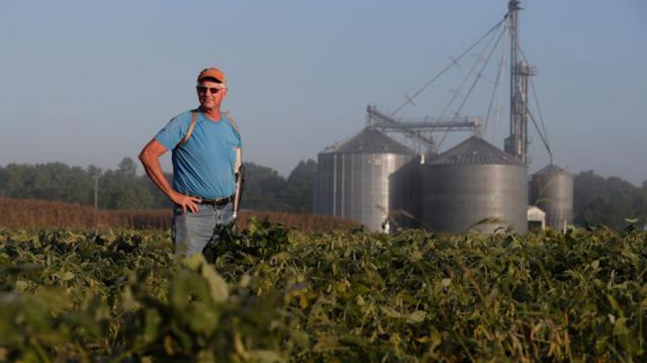 La confianza de los agricultores se desploma a medida que se disparan los costos de los insumos