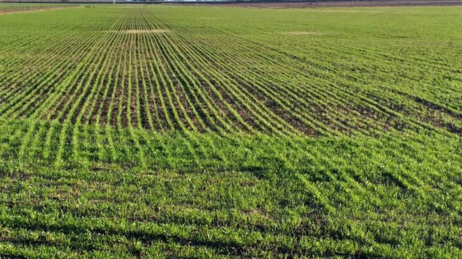 Perspectiva agroclimática semanal Argentina