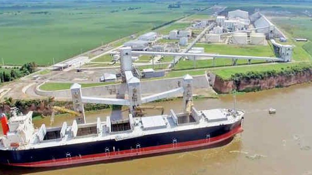 Haba soja: agroexportadores liquidaron US$ 1.999 millones en noviembre
