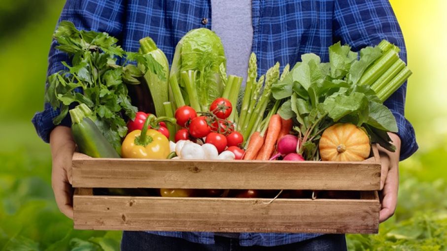 Los precios mundiales de los alimentos siguen bajando en agosto, según la FAO