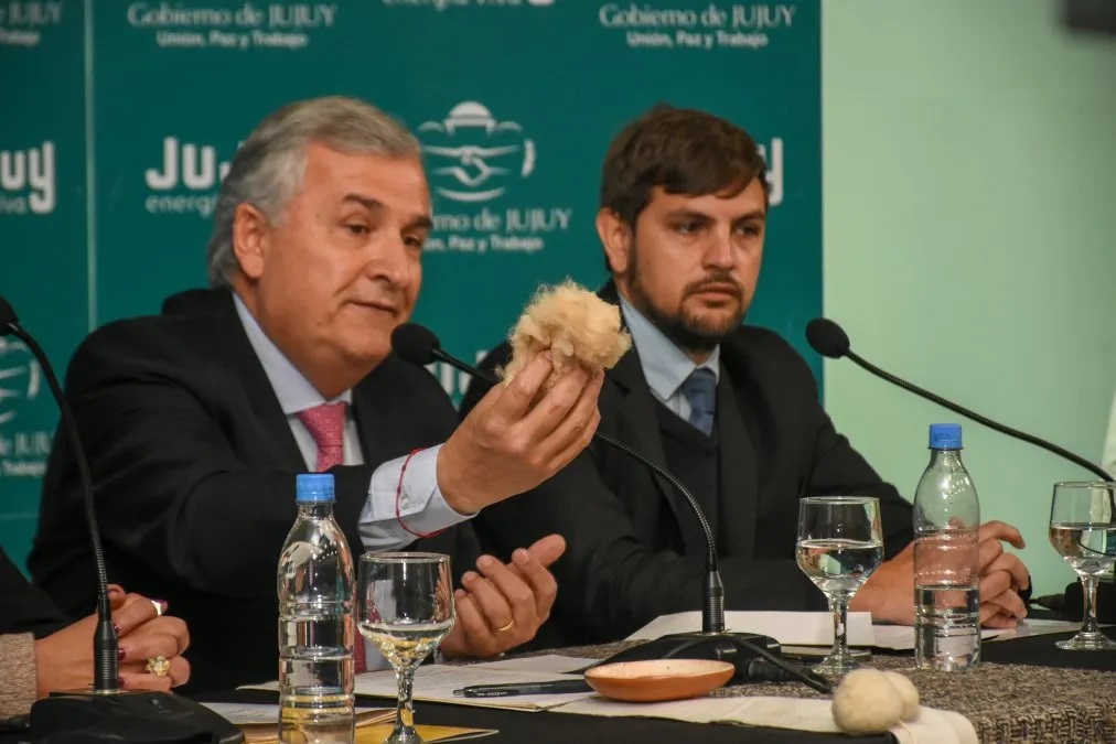 Partió a Italia el primer embarque de fibra de vicuña jujeña