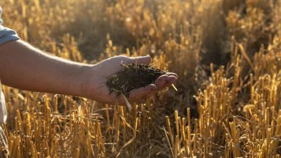 Día mundial de la conservacion del suelo: la importancia de cuidar este recurso clave