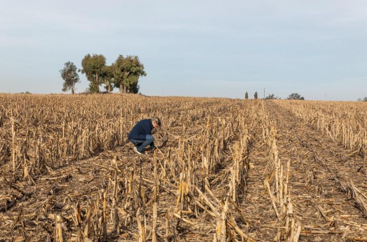Día mundial de la conservacion del suelo: la importancia de cuidar este recurso clave